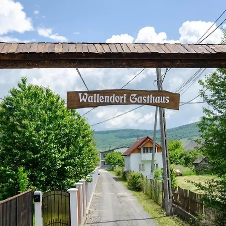 Wallendorf Unirea * Bystrzyca